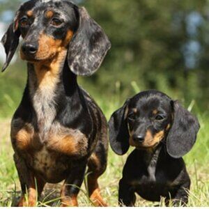 Meet your Posher, Geneviève